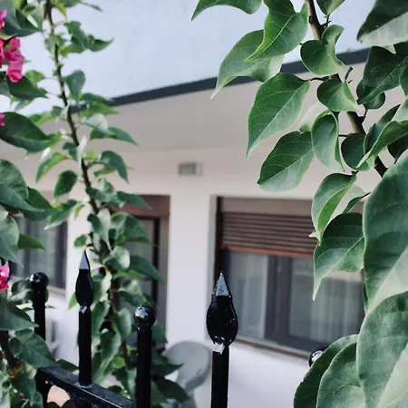 Seashell Oasis Nea Kallikrateia