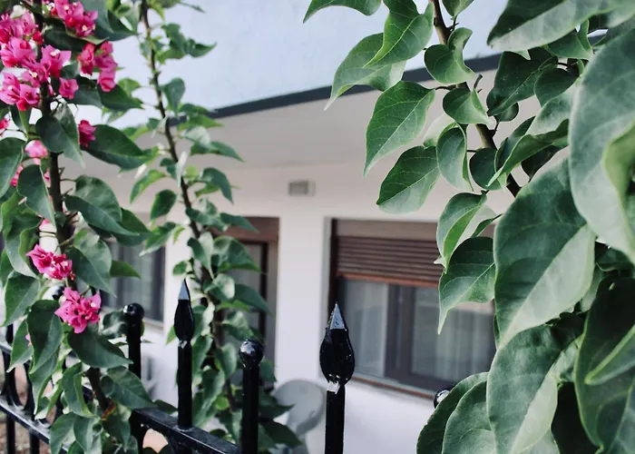 Seashell Oasis Nea Kallikrateia